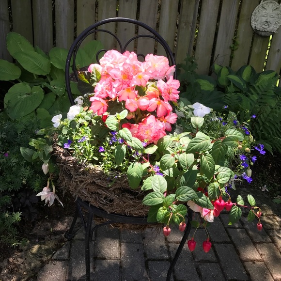 Meet your Posher, Liesel - Picture 1 of 1